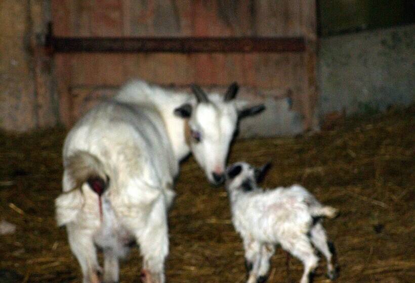 酒店 Château Lacaze