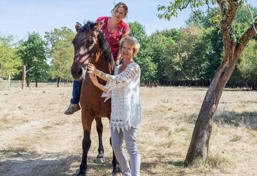 酒店 Château Lacaze