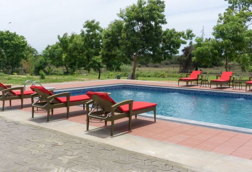 בית מלון כפרי Flamingo Nature Resort