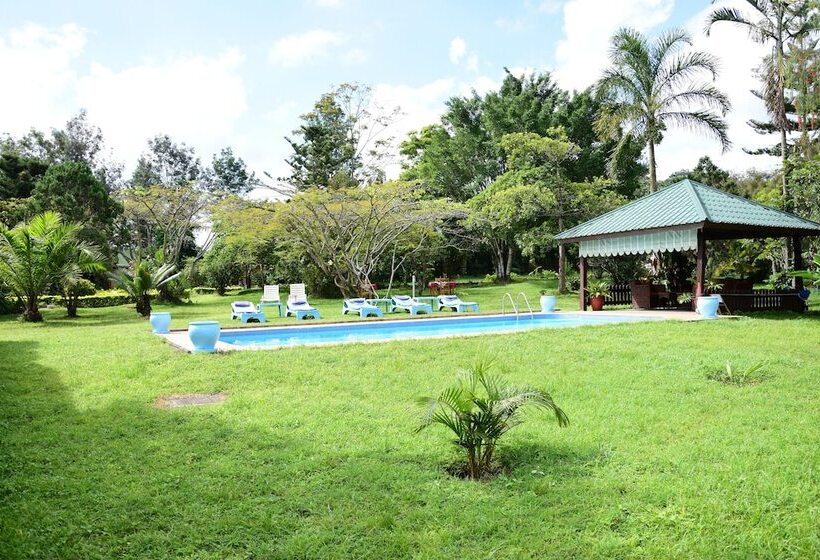 호텔 Meru View Lodge