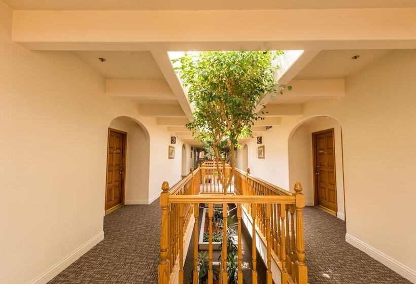 酒店 Posada De San Juan