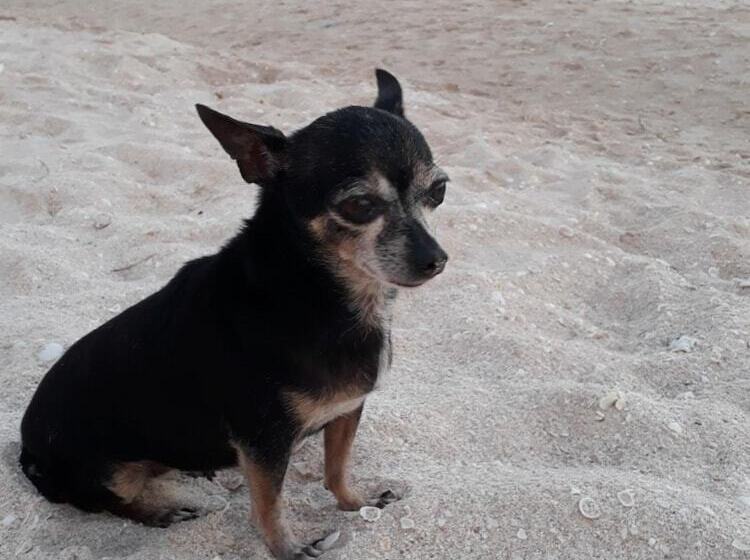 בית מלון כפרי Posada Maria Isabel