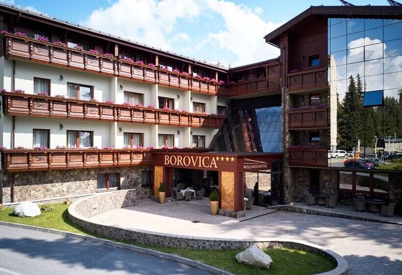 Aplend Wellness Hotel Borovica