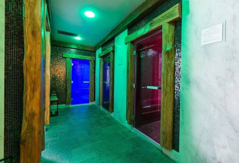 Aplend Wellness Hotel Borovica