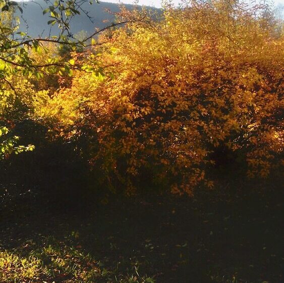 Пансион Au Gré Des Sentiers Chez Marie Et Pierre