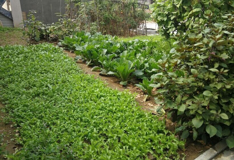 Пансион Beijing Great Wall Zhan Guesthouse