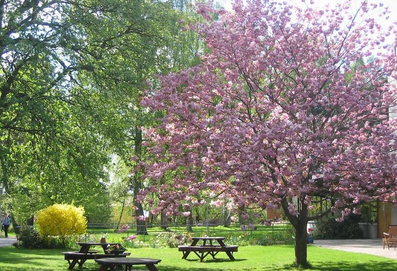 بنسيون Hagabergs Vandrarhem