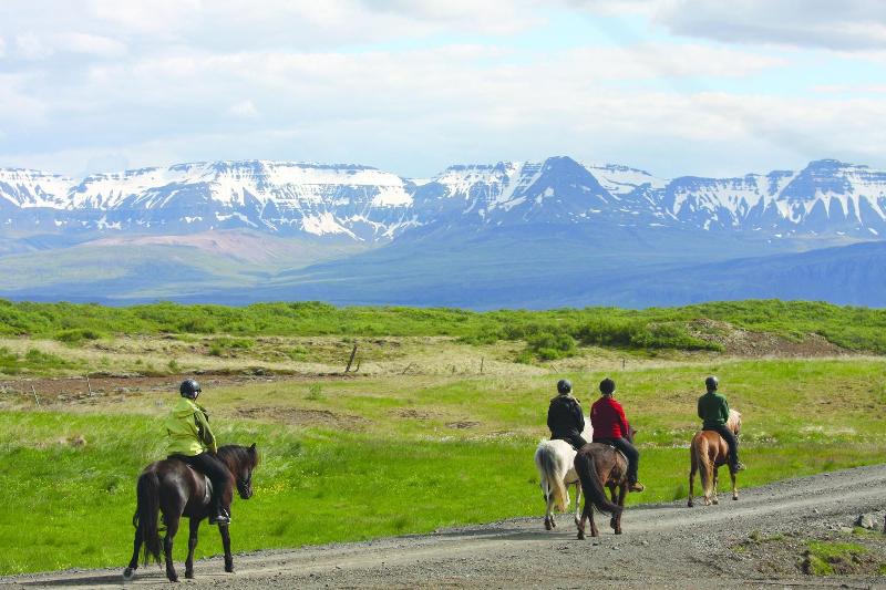 پانسیون Hestaland Guesthouse Horse Farm Stay