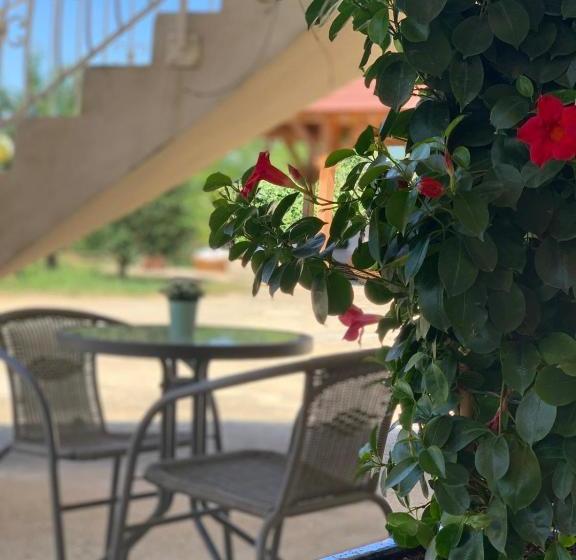 بنسيون Le Domaine Des Archies