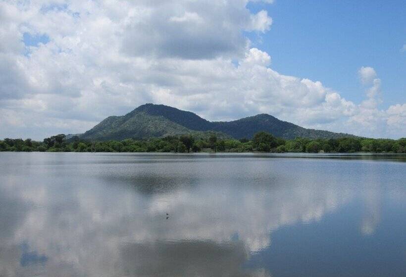 膳宿费 Wadula Safari Yala