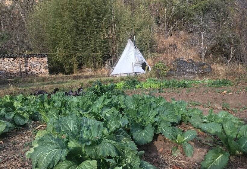 پانسیون Wei Island Farm&art Guesthouse