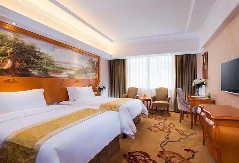 Vienna Hotel Changde Wuling Avenue