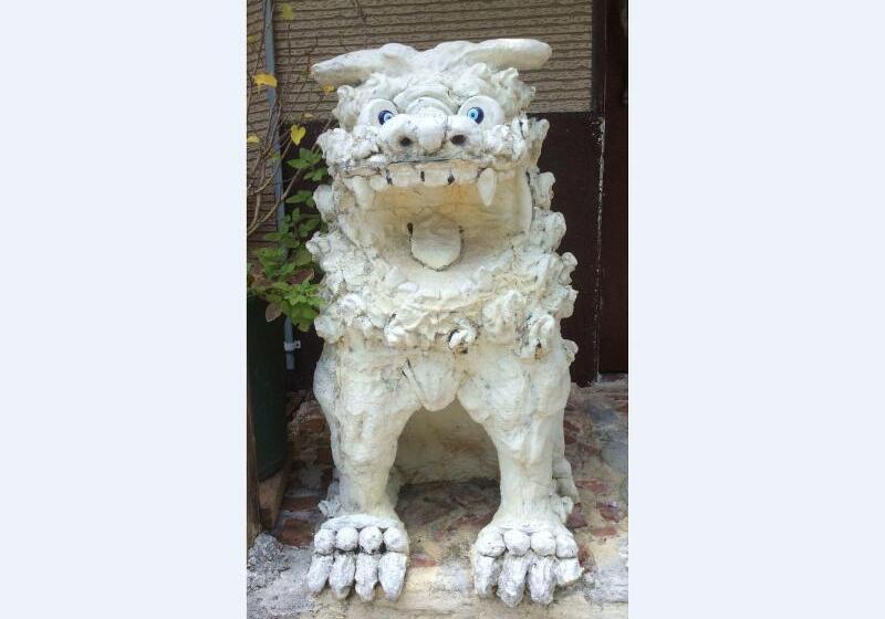 ユースホステル Zamamia International Guesthouse