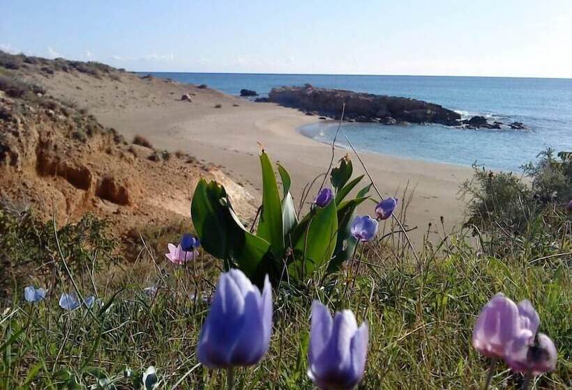 Alkioni Sea View Apartment