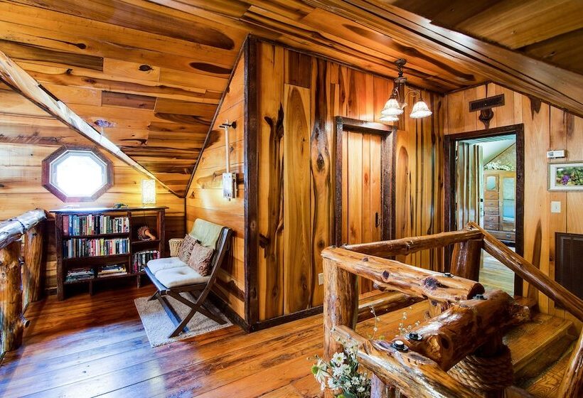 Butterfly Hollow B&b