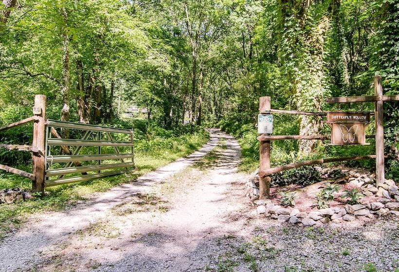 Butterfly Hollow B&b