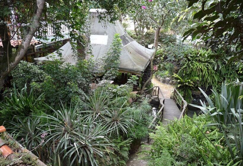 مسافرخانه Isla De Baños Hosteria Y Spa