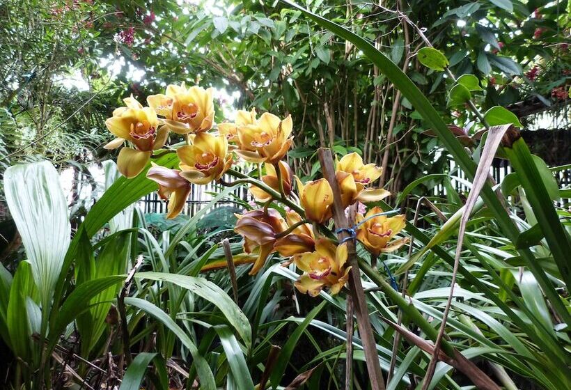 مسافرخانه Isla De Baños Hosteria Y Spa