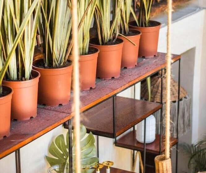 בית מלון כפרי Alcobas Del Mar