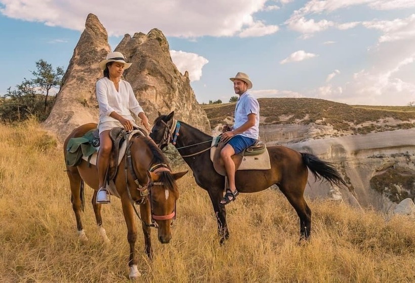 호텔 Bayer Stone House