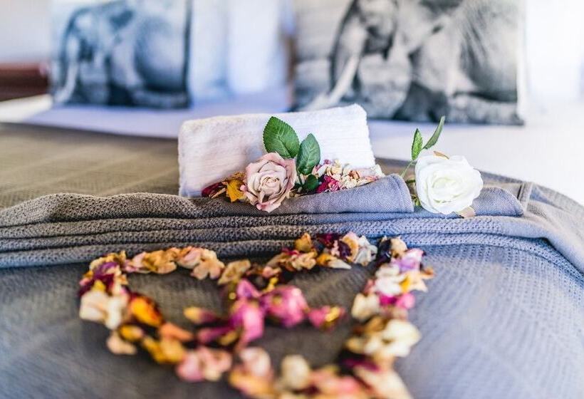 בית מלון כפרי Ritsako Game Lodge