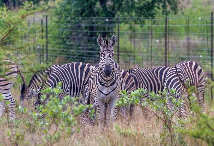 בית מלון כפרי Ritsako Game Lodge