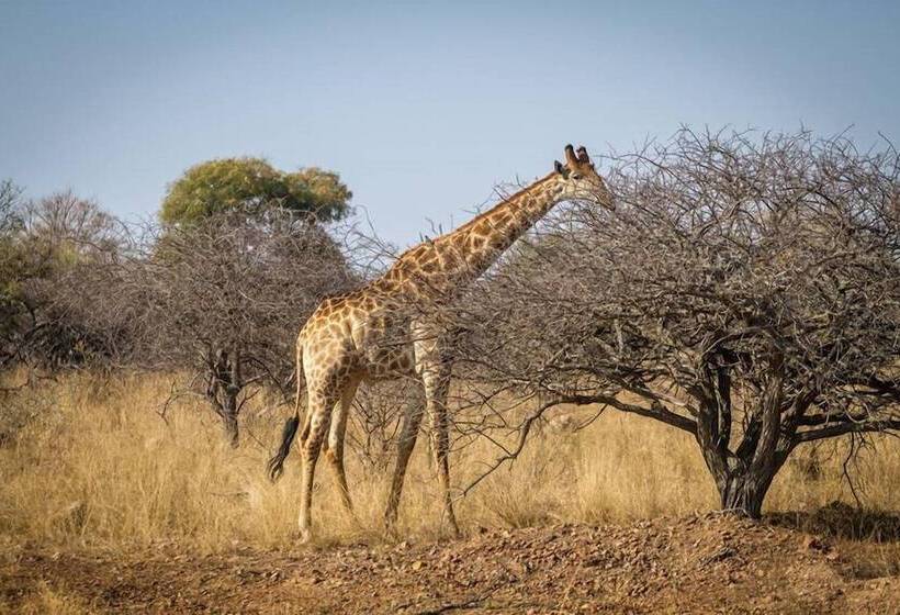 בית מלון כפרי Ritsako Game Lodge