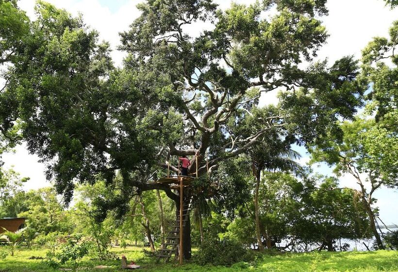 فندق Sandalu Kithulgala