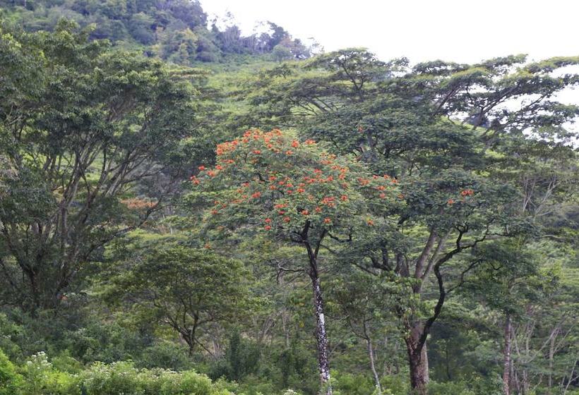 فندق Sandalu Kithulgala