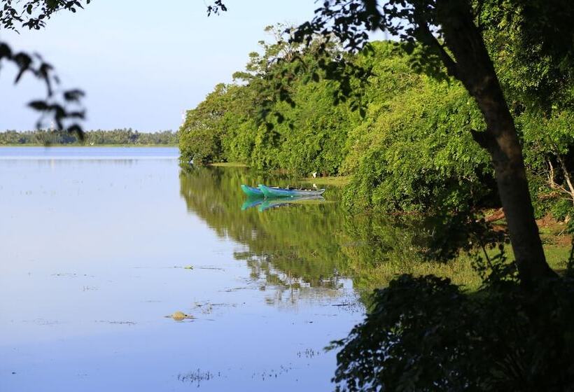 فندق Sandalu Kithulgala