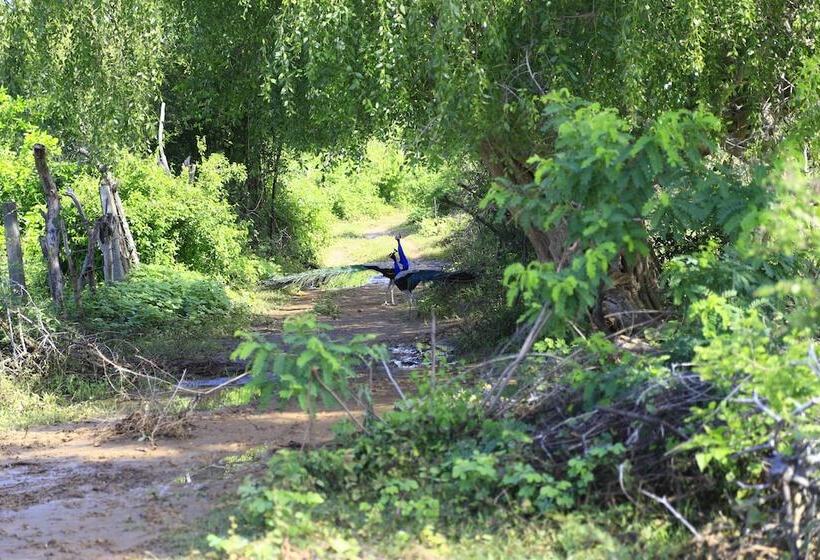 فندق Sandalu Kithulgala