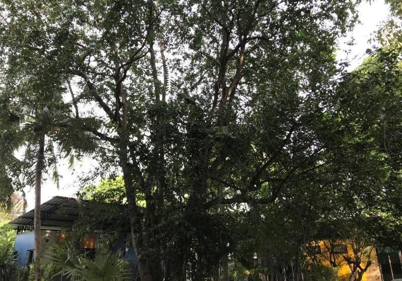 호텔 The Monkey Resort Donheang