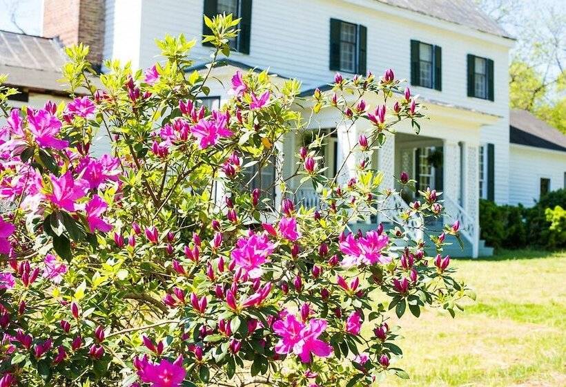 Oak Grove Bed And Breakfast