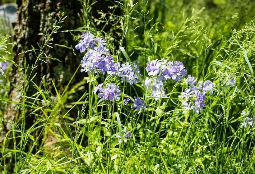 Oak Grove Bed And Breakfast