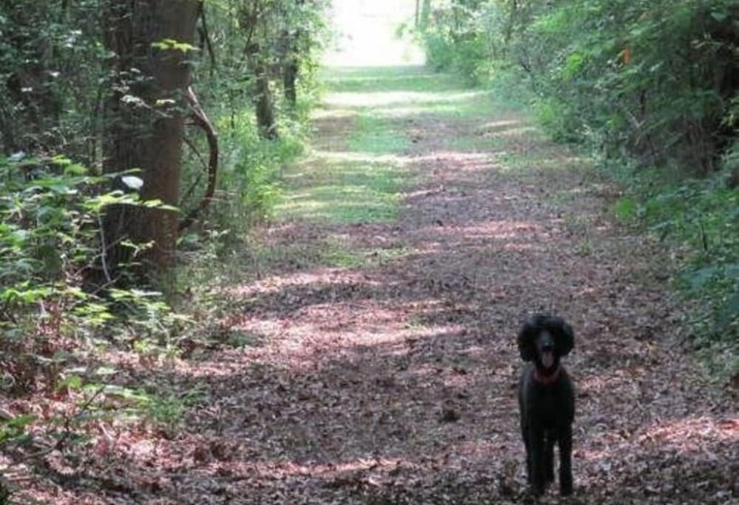 Oak Grove Bed And Breakfast