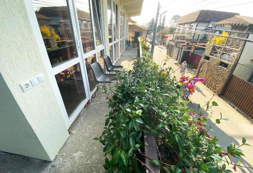 ペンション Dikovinka Sochi Guest House