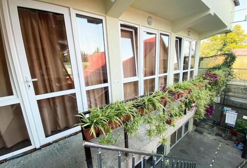 ペンション Dikovinka Sochi Guest House