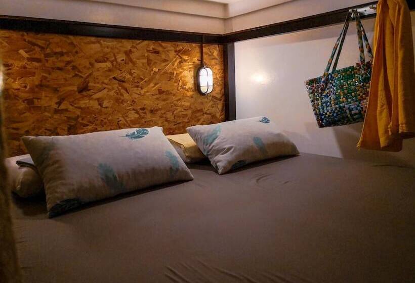 Spinning Cat Hostel   Adults Only