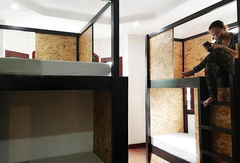 Spinning Cat Hostel   Adults Only