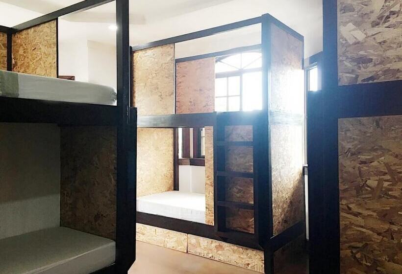 Spinning Cat Hostel   Adults Only