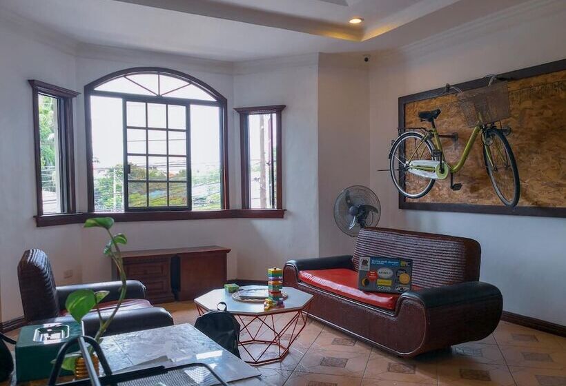 Spinning Cat Hostel   Adults Only