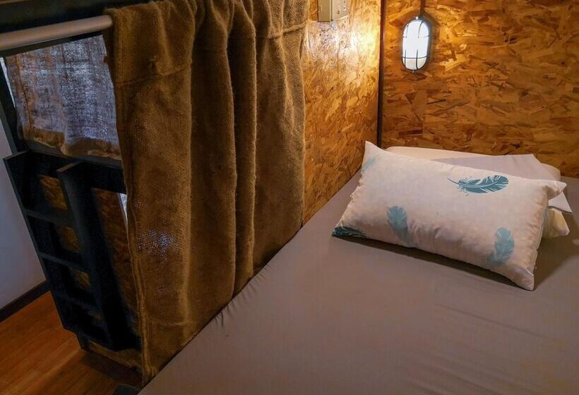 Spinning Cat Hostel   Adults Only