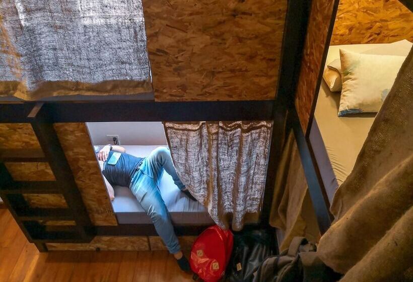 Spinning Cat Hostel   Adults Only