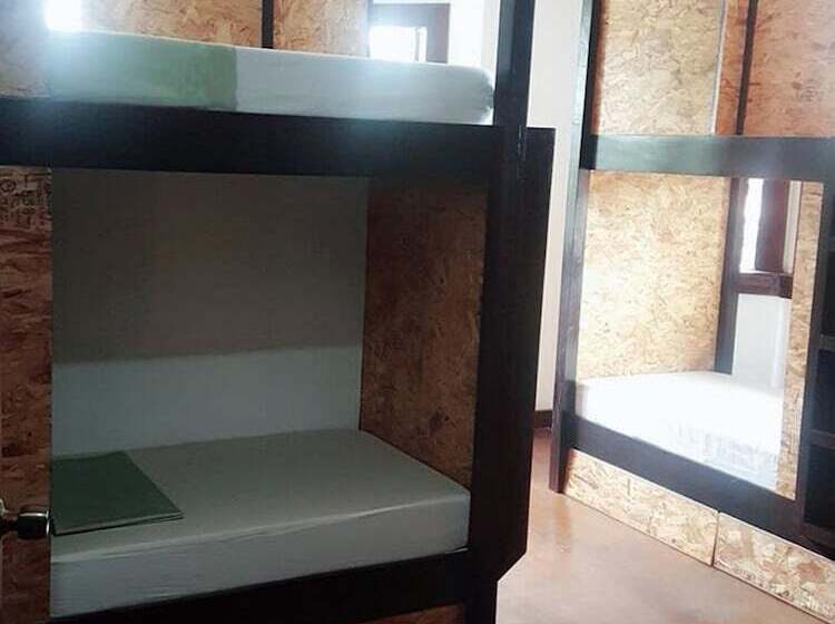 Spinning Cat Hostel   Adults Only