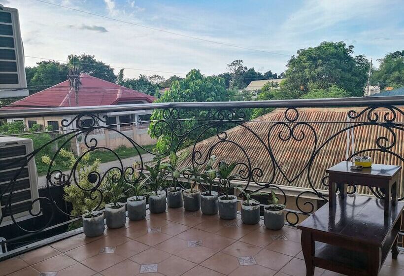 Spinning Cat Hostel   Adults Only