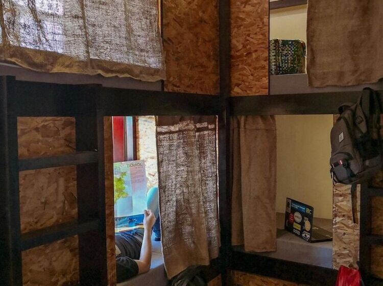 Spinning Cat Hostel   Adults Only