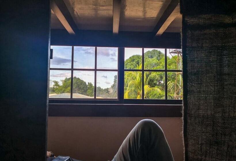 Spinning Cat Hostel   Adults Only