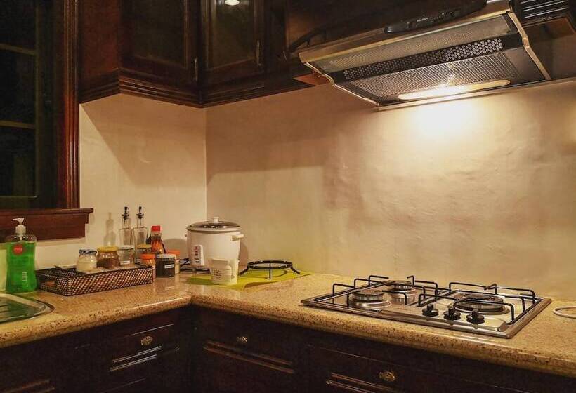 Spinning Cat Hostel   Adults Only