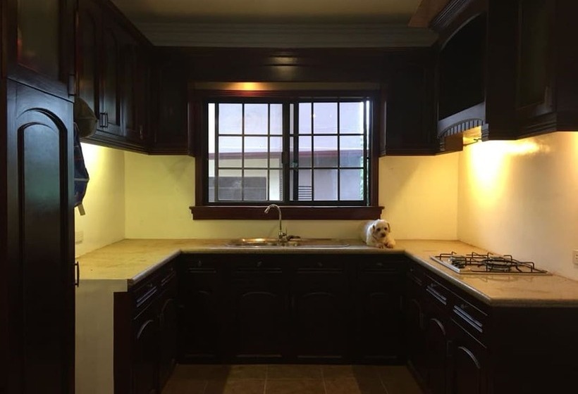 Spinning Cat Hostel   Adults Only