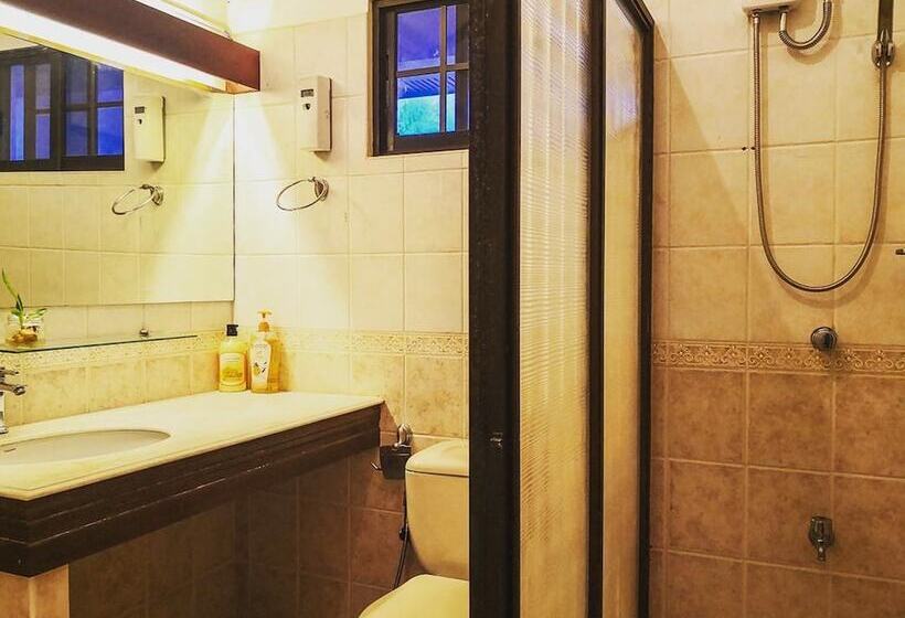 Spinning Cat Hostel   Adults Only